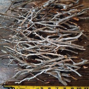 30 thin gray brown manzanita sticks branch aquarium terrarium vivarium crafts